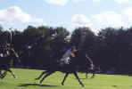 polo10.jpg (37313 bytes)